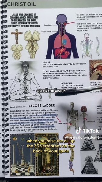 Book of Wisdom - Spiritual Awakening PDF Download