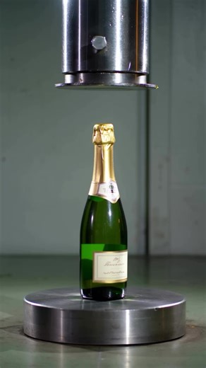 See the World as You Are: A Deep Dive into Perception