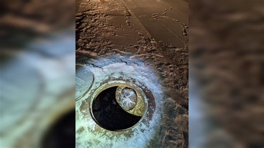 Colorado Springs Fire Department rescues dog from storm drain amid freezing weather