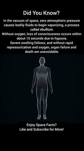 What Happens To The Human Body In The Vacuum Of Space