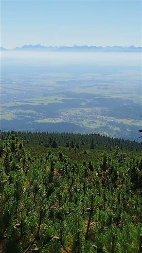 W drodze na Babią Górę. Gdzieś w połowie... sierpień 2025