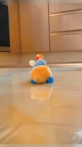 2K views · 68 reactions | Chicago Rescue Dog Rangers on Reels | Facebook