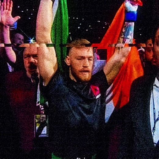 Khabib Nurmagomedov vs. Conor McGregor UFC 229 Highlights