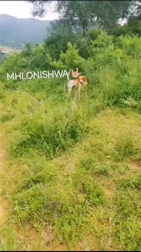 #3 #kzn #maskanditrendingsong AKUYO YAMI KE CELA MTHEMBU YAMDUKEL BAKITHY MAPHUMULO EKUNQOBENI