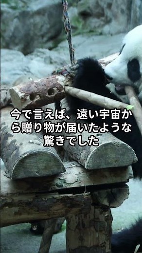 The Mystery of Ancient Japan and the Silk Road