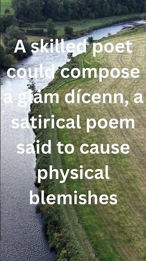 The Power Of Words|Poets In Medieval Ireland #historyfacts #irishhistory#europeanhistory #poets