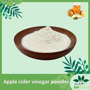 [Hot Item] Natural Apple Cider Powder for Baking and Cooking Recipes