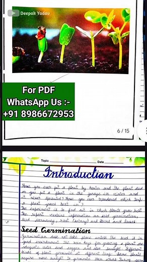Class 12 Biology Investigatory Project File 2025-26 | Effect of Temperature on Seed Germination