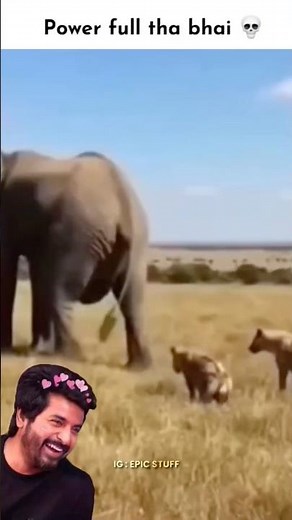 Full Powe Bhi #shorts #dogs #trending