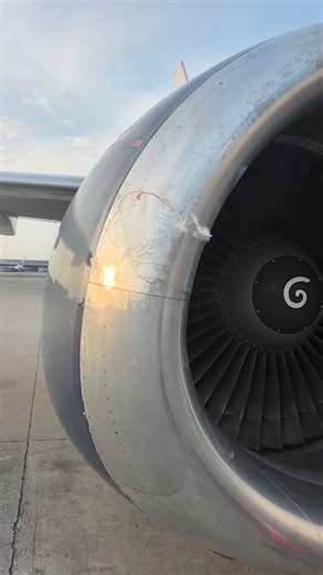 Bird strike on this CFM56-3 engine after landing. Feathers and blood were smeared across the inlet and fan blades... classic small-bird hit. We cleaned the entire area thoroughly, inspected for any damage, and confirmed nothing reached the core.Engine ran fine afterward with all parameters normal. Lucky it was a small one. Bird strikes happen more often than people realize, but quick inspections and cleaning keep things safe. Maintenance crews see this stuff all the time.