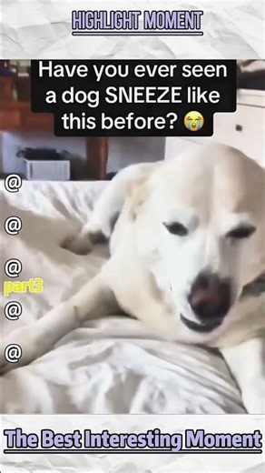 Phillies land All-Star closer Jhoan Duran ahead of MLB trade deadline 👀🔥 #jhoanduran