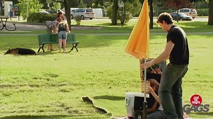 Beach army, superman kid, disappearing girl prank | Worlds Best Pranks