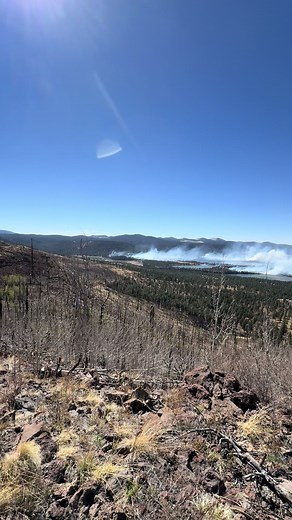 Exploring the Beauty of the Greer Lakes at 3:00pm