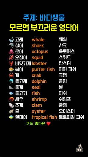 모르면 부끄러운 영단어 (주제: 바다생물) #영어단어 #영어 #왕초보영어