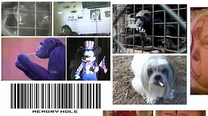 25K views · 349 reactions | we want to kill everything music by - Aaron Dilloway | Memory Hole | Facebook