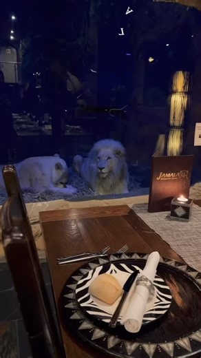 Take a glimpse into day one of your Jamala stay! From the moment you arrive, you can expect non-stop luxury and fun. Join us for High Tea, take in the company of our uShaka lodge animal residents, and then embark on your guided private tour to meet and engage with some of our larger residents 🦏 Once you have learned all about our animals and conservation mission, you will be escorted to your room, where your bags will already be waiting, delivered by our friendly staff. Our team will then trans