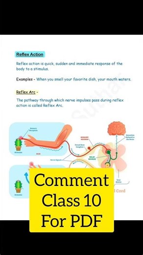 Class 10th free short notes. #boardexam #class10 #class10th
