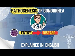 “Neisseria gonorrhoeae: From Entry to Damage in English "