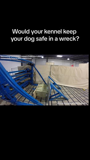 Keep Your Dogs Safe with Lucky Duck Kennel vs Gunner Kennel Comparison