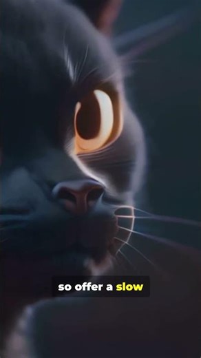 5 Cat Fears You Didn't Know (But should!)