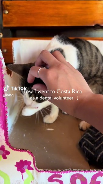 Dental Volunteer Experience in Costa Rica