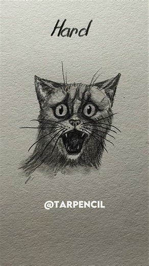 How to draw Scared Cat ✏️ #drawing #art #tutorial #howtodraw #shorts #cat