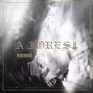 339 shares · 205 comments | Legions! It is time...our new EP 'A Forest' is out now. Are you ready? | BEHEMOTH! | Facebook