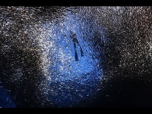 Four incredible natural phenomena to see around the world