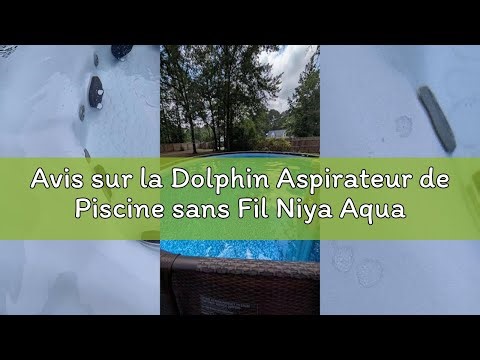 Avis sur la Dolphin Aspirateur de Piscine sans Fil Niya AquaSweep S1 avec Manche télescopique, Aspir