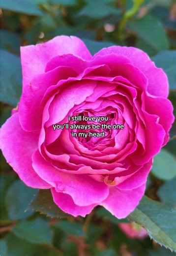 Mona Lune (@monalunepoetry)’s videos with Cinnamon Girl - Lana Del Rey