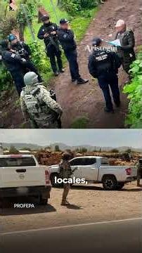 Golpe a la tala ilegal: 28 clausuras en operativo nacional