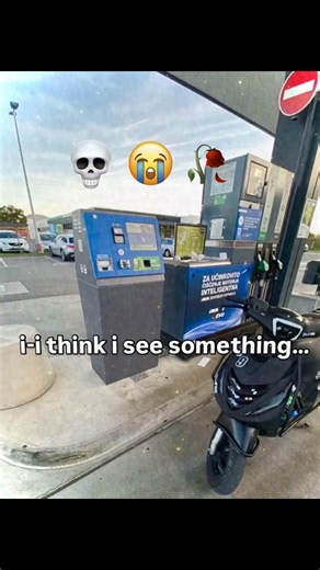WTF Happend Here,
