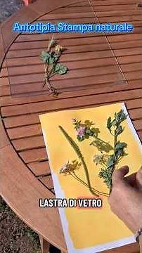 Anthotype. Are you familiar with homemade natural printing? I'll show you how to do it step by step.