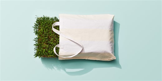 A Beginner's Guide to Living More Sustainably