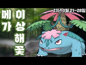 풀, 독 타입 1티어! 메가 이상해꽃 레이드 공략&고배리 요약