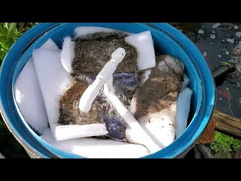 DIY 55 Gallon Pond Filter