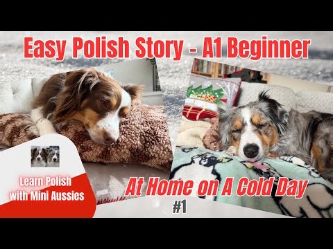 Easy Polish A1 Listening Story – At Home on a Cold Day (Beginner)🐾❄️🇵🇱