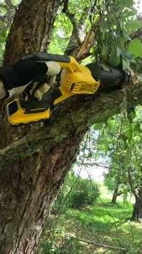 Customer needed some junk hauled off, so we took care of it FOR FREE 💪🏼 #junkremoval #dumpire