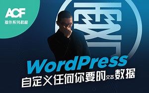 WordPress 自定义任何你要的文本数据【ACF自定义字段插件系列教程】