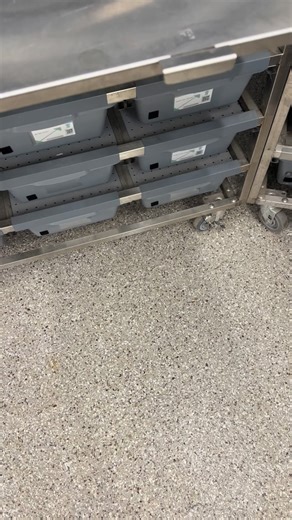 Enchi SN Hypo Clown het DG Male Growing up nicely • • • #ball #ballpythonclown #ballpython #ballpythonmorphsofinsragram #ballpythonsofig #ballpythonbreeder #ballpythonmorph #ballpythonbreeding #ballpythonmorphs #ballpythonlove #ballpythonsofinsta #snake #snakes #snakekeeper #reptile #reptiles #reptilesofinsta #pythonregius #exotic #exoticanimals #exotics #exoticpets #expticpet #pet #pets #petphotography #petsofinstagram #petsagram #petportrait #animalphotography | Midwest Mutations