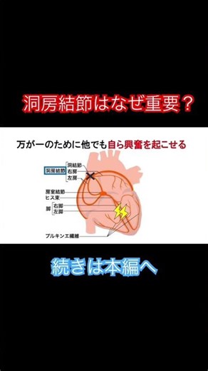 Why is the sinoatrial node important? #NursingStudent #NationalExam