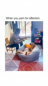 What a good helper!  #dogmeme Don’t forget to click the link in our bio to shop our harnesses with a hidden tracker pocket! | Fetch Dog Gear | Facebook