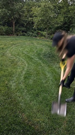 Transform Your Yard with a Simple Garden Upgrade