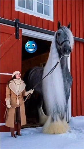 Top 5 Biggest Horses in the World #top5 #horse