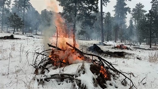 Burn Permits now available for slash piles