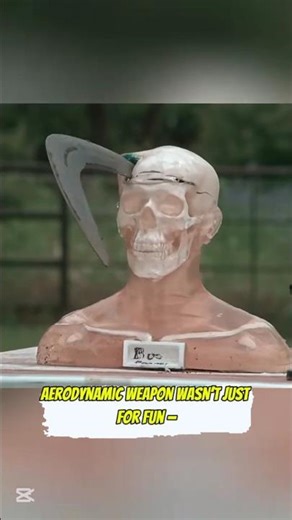 Hunting techniques: ancient boomerang's unique aerodynamic kill #shorts #historydocumentary