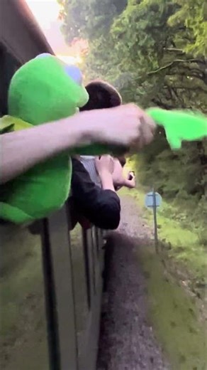 Class 50 bash with 50026 Indomitable and Kermit the crank!