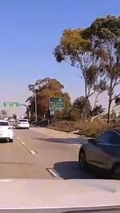 Wild accident caught on the 105fwy last week. The driver of the pickup truck slammed into multiple vehicles after he says his brakes failed. Thankfully there were no major injuries🙏🏽 Filmed by: TikTok @ myexoticpets1 . . . #lacountyunleashed #losangeles #breakingnews #photojournalism #southla #carcrash | La County Unleashed