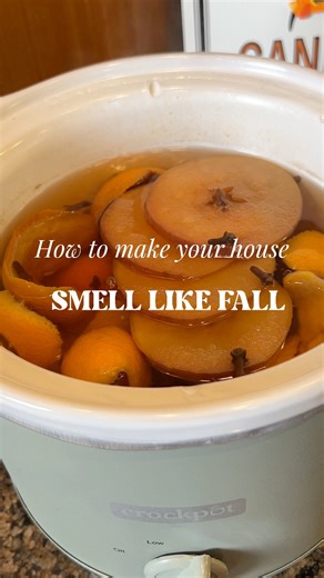 24K views · 113 reactions | Crocktober Day 27! Crocktober Fall Potpourri. #crocktober #slowcooker | The Magical Slow Cooker | Facebook