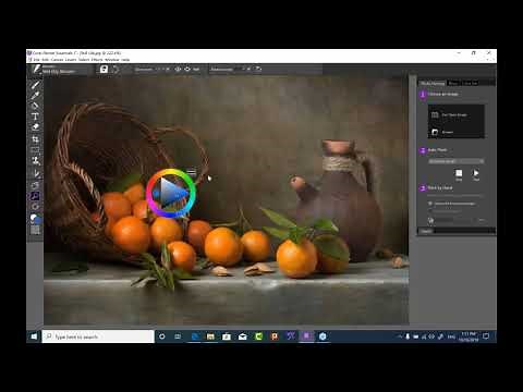 Digital art made simple using Painter Essentials 7